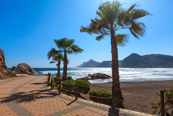 Praia de verão, pedestres e palmeiras (Espanha ). — Fotografia de Stock