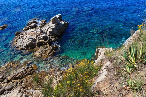 Verão mar rochoso costa vista (Espanha ). — Fotografia de Stock