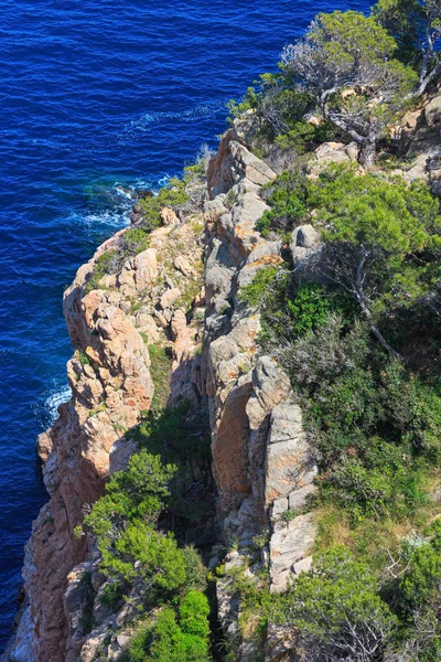 Verano mar costa rocosa vista (España ). — Foto de Stock