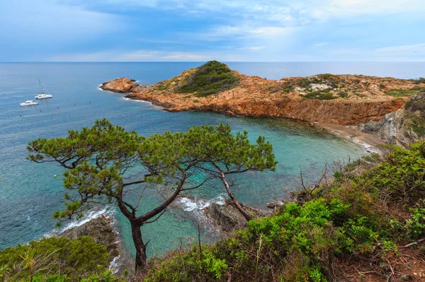 Baía do mar de verão (Espanha ). — Fotografia de Stock