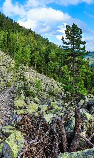 Yaz dağ manzarası (Karpat, Ukrayna). — Stok fotoğraf