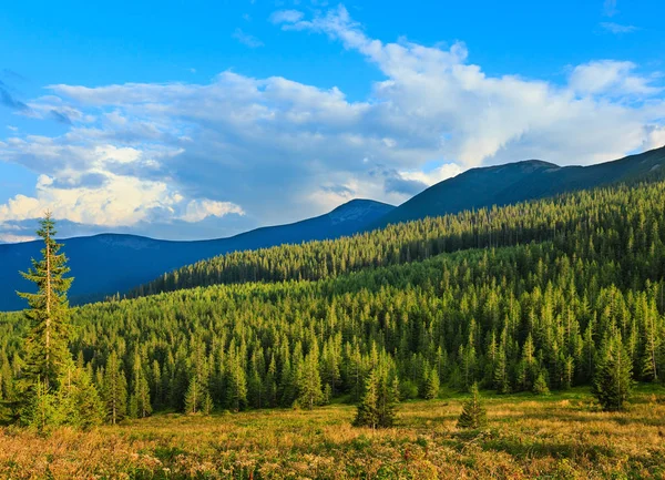 야생 라스베리와 여름 Carpathians. — 스톡 사진