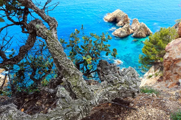 Verão mar rochoso costa vista (Espanha ). — Fotografia de Stock