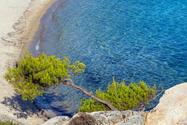 Letní ráno Platanitsi pláž (Řecko). — Stock fotografie
