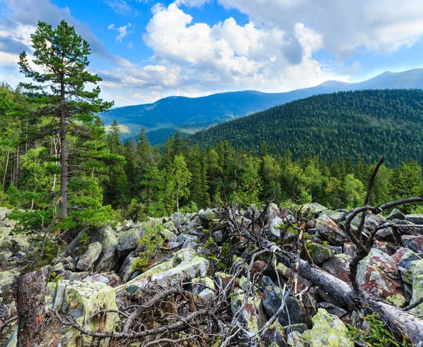 Letní mountain view (Karpaty, Ukrajina). — Stock fotografie