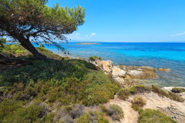 Ege Denizi Sahili (Chalkidiki, Yunanistan).