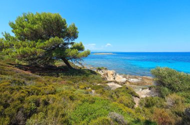 Ege Denizi Sahili (Chalkidiki, Yunanistan).