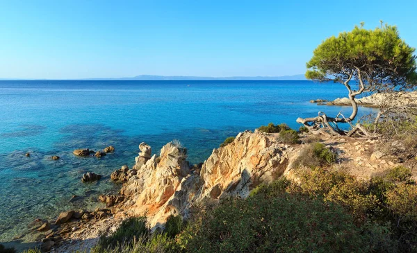 Ege Denizi Sahili (Chalkidiki, Yunanistan).