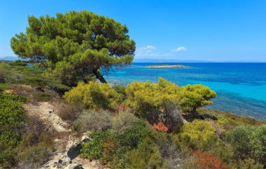 Ege Denizi Sahili (Chalkidiki, Yunanistan).
