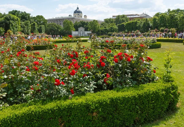 Paesaggio floreale (Vienna, Austria ). — Foto Stock
