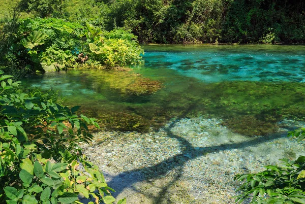 Blue eye summer view (Albanien). — Stockfoto