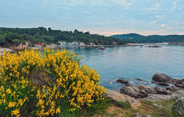 Costa del mar de verano, Costa Brava, España . — Foto de Stock