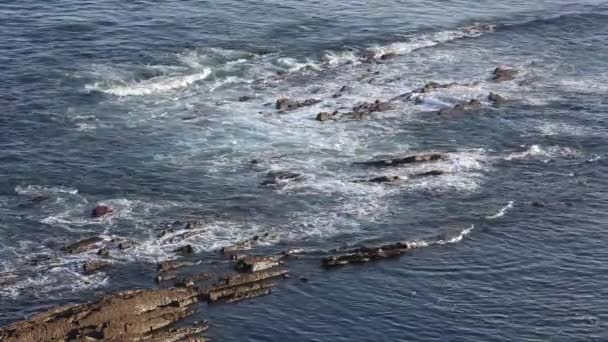 Vue sur l'océan depuis le rivage — Video