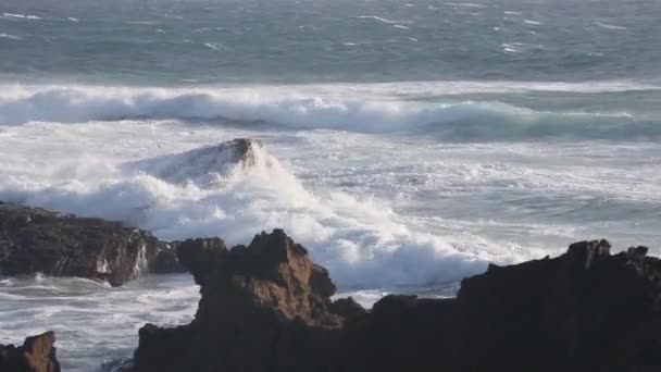 Tormenta del océano Atlántico, Portugal . — Vídeos de Stock