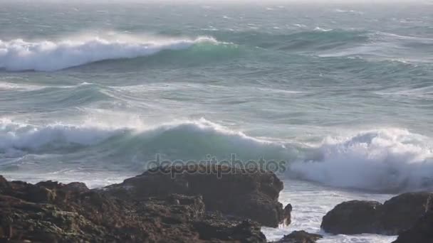大西洋の嵐、ポルトガル. — ストック動画