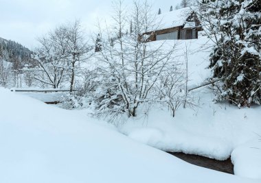 Kış Ukrayna Karpat Dağları manzara.