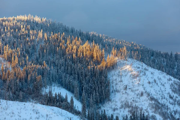 Večerní zimní krajina ukrajinské Karpaty. — Stock fotografie