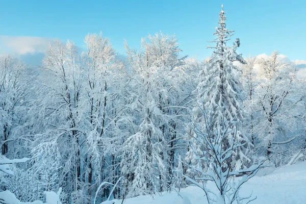 Inverno ucraniano montanhas dos Cárpatos paisagem . — Fotografia de Stock