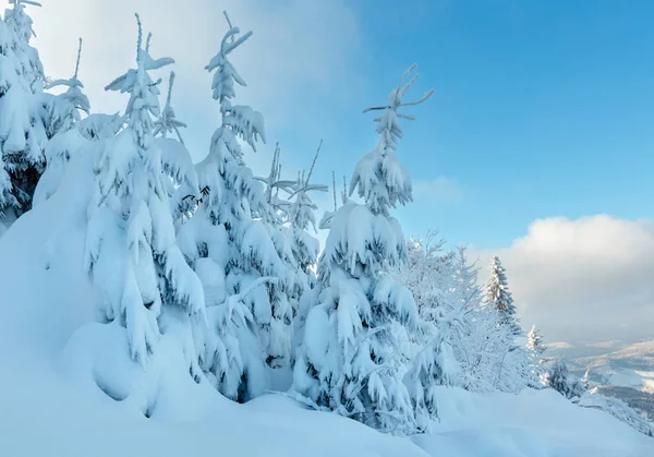 Зимние Украинские Карпаты . — стоковое фото