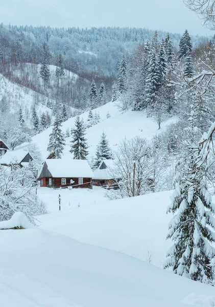 Inverno ucraino Carpazi paesaggio . — Foto Stock