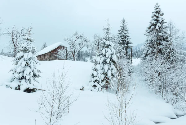 Kış aylarında Ukrayna Karpat Dağları tahammül. — Stok fotoğraf