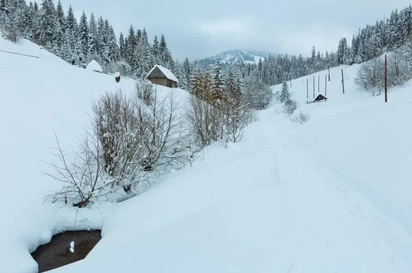 Invierno Ucrania Cárpatos Montañas paisaje . —  Fotos de Stock