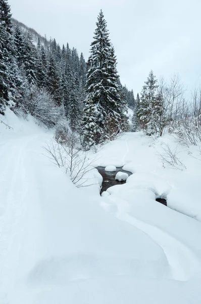 Inverno ucraniano montanhas dos Cárpatos . — Fotografia de Stock