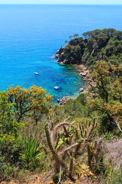 Výhled na skalnaté pobřeží moře letní (Španělsko). — Stock fotografie