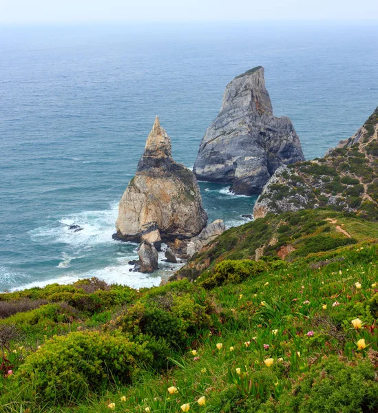 Pohled na pobřeží Atlantiku v oblačné počasí, Portugalsko. — Stock fotografie