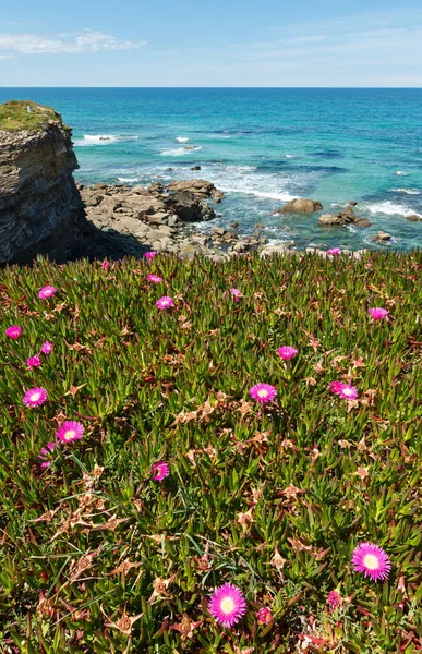 Atlantic blossoming coastline (Spain). — Stock Photo, Image