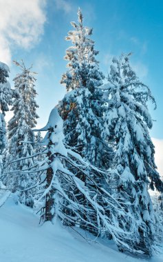 Kış Karpat Dağları manzara.