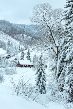 Kış Ukrayna Karpat Dağları manzara.