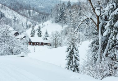 Kış Ukrayna Karpat Dağları manzara.