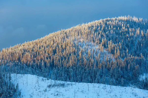 Inverno à noite Cárpatos Montanhas paisagem . — Fotografia de Stock