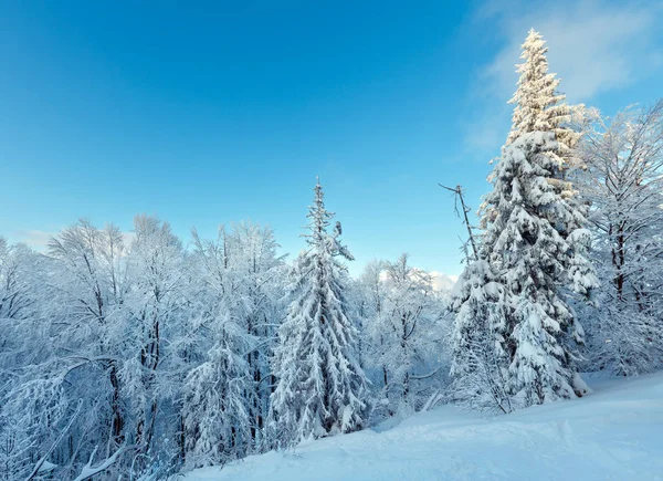 Vinter Karpaterna landskap. — Stockfoto