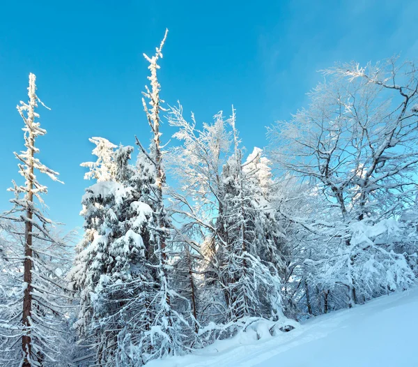 Зимові гори Карпати краєвид. — стокове фото