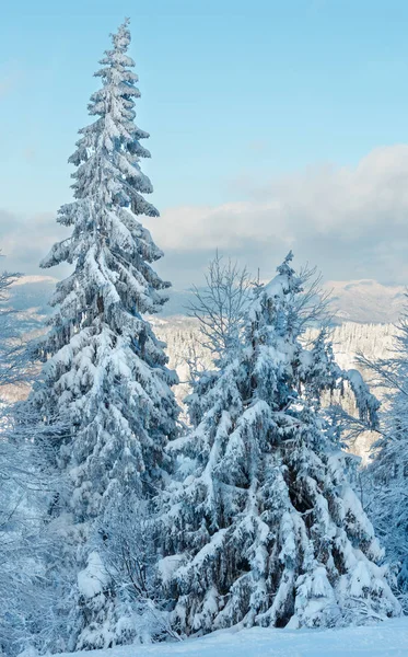 Winter Oekraïense Karpaten landschap. Stockafbeelding