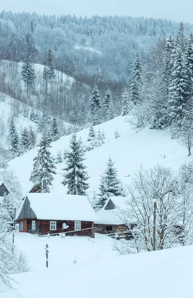 Invierno Ucrania Cárpatos Montañas paisaje . — Foto de Stock