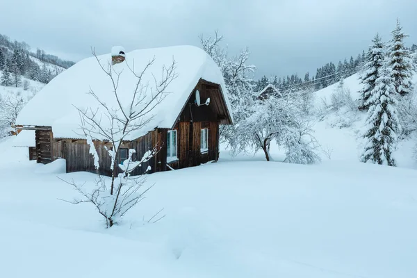 Krajobraz zima ukraińskich Karpat. — Zdjęcie stockowe