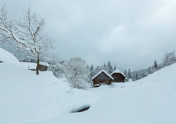 Zimowe karpackiej wsi. — Zdjęcie stockowe