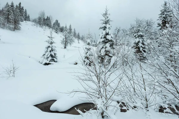 Brook en invierno Cárpatos ucranianos Montañas . — Foto de Stock