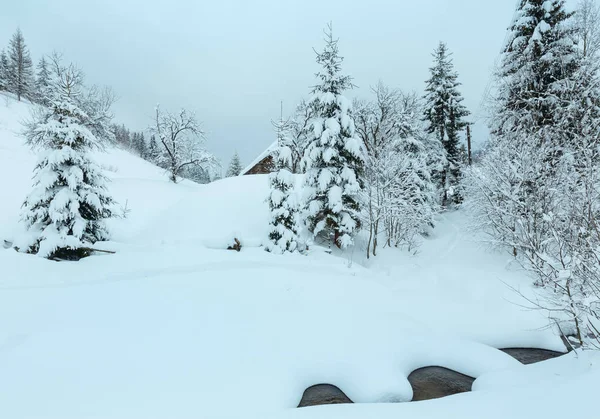 Arroyo en invierno Montañas Cárpatos . — Foto de Stock