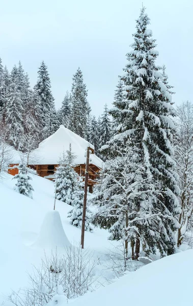 Zimní ukrajinské Karpaty krajina. — Stock fotografie