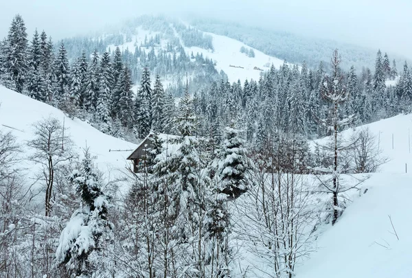 Krajobraz zima ukraińskich Karpat. — Zdjęcie stockowe
