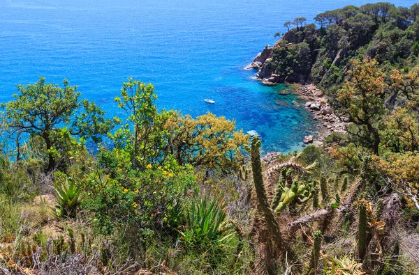 Verano mar costa rocosa vista (España ). — Foto de Stock