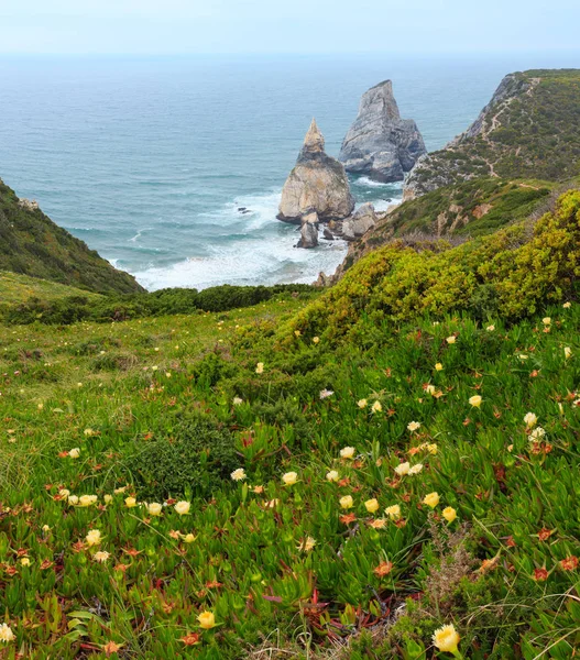 Costa atlántica vista de verano, Portugal . — Foto de Stock