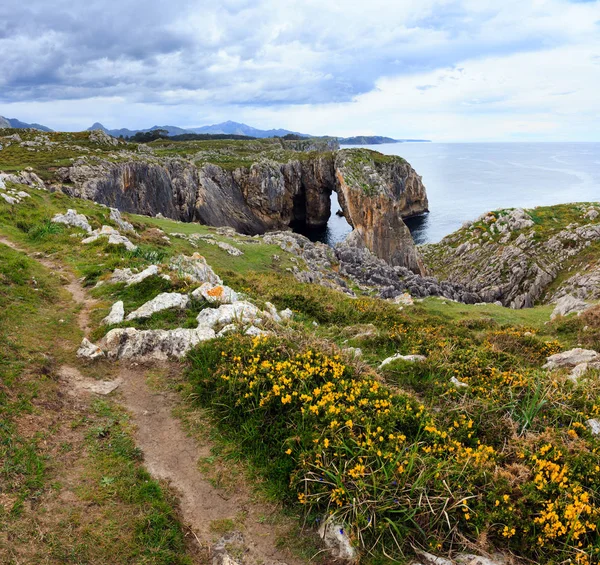 Summer rocky coast. — Stock Photo, Image