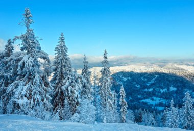 Kış Karpat Dağları manzara, Ukrayna.