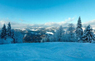Kış Karpat Dağları manzara, Ukrayna.