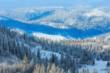 Kış Ukrayna Karpat Dağları manzara.